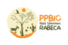 PPBio Semiárido: Rede de Avaliação da Biodiversidade, Ecologia e Evolução da Caatinga