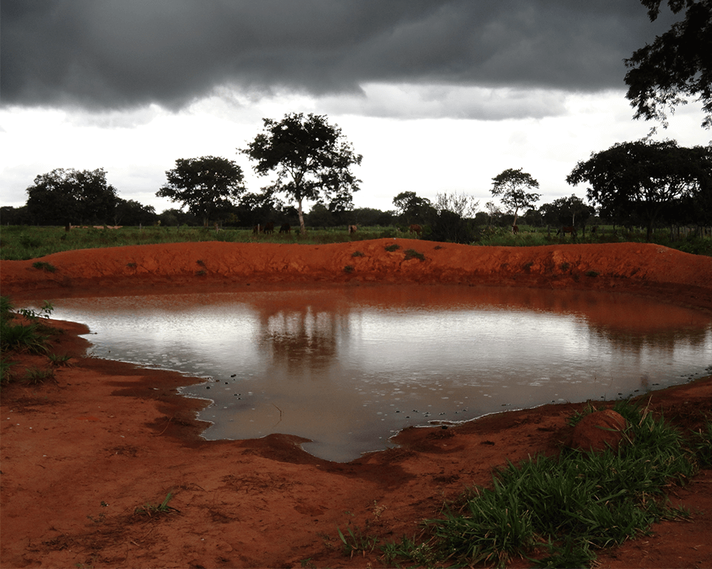 Projeto Plantando Água no Alto Pantanal,  2011