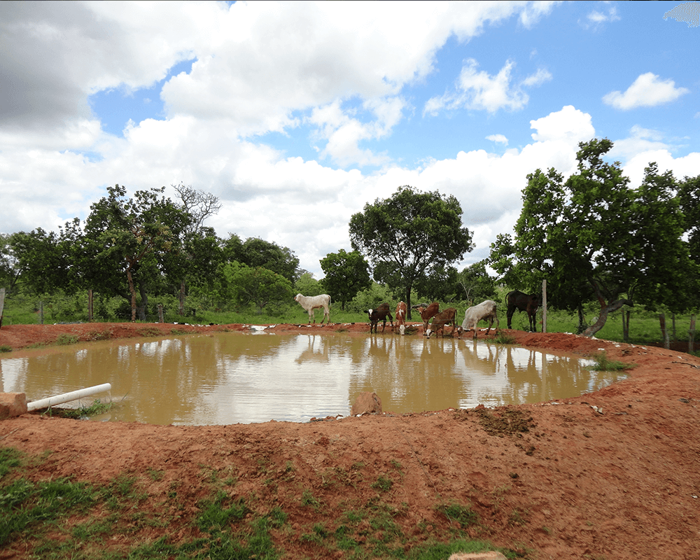 Lago de Multiplo Uso Embrapa 150.000 litros, 2010 PA KATIRA Lote 8