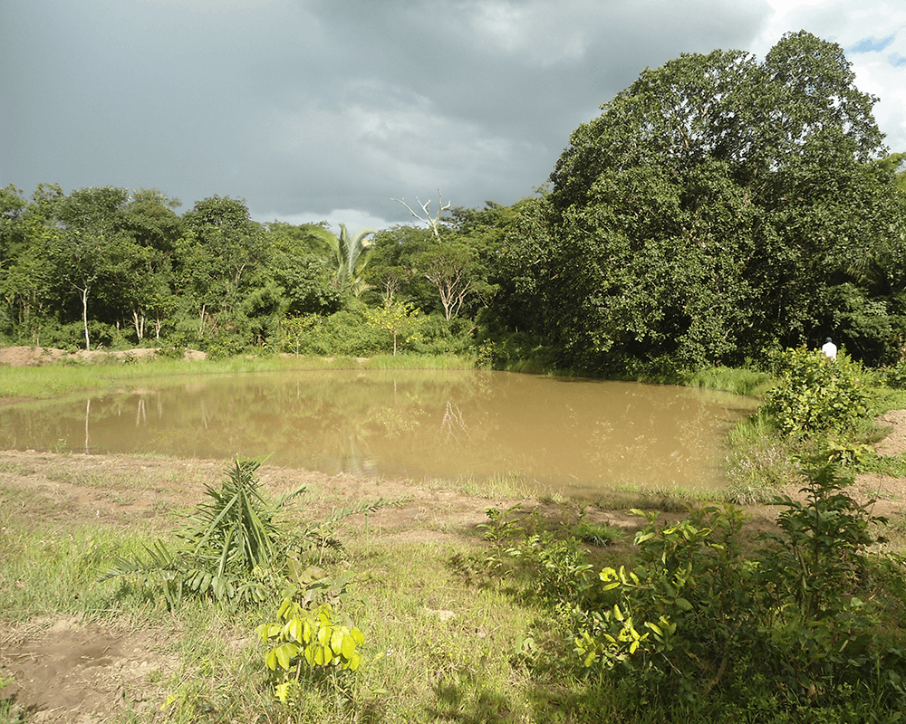 Projeto de recuperação parcial de represinhas de 5 a 10 milhões de litros. P.A. Rancho da Saudade